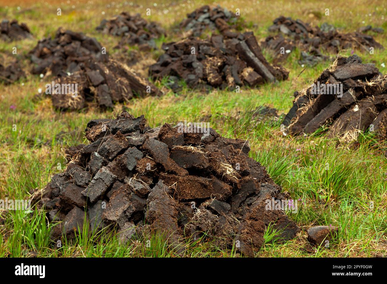 Traditional turf cutting Mayo Ireland and piles of drying sods of turf on the bog Stock Photo