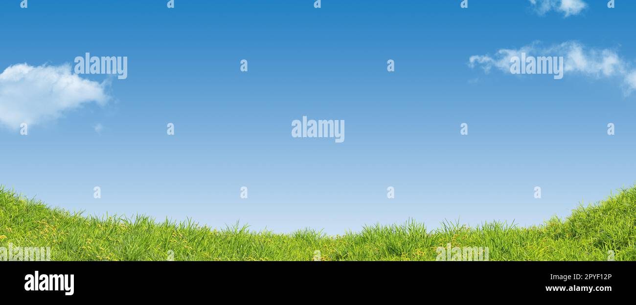 Green summer meadow with a blue sky and clouds Stock Photo - Alamy