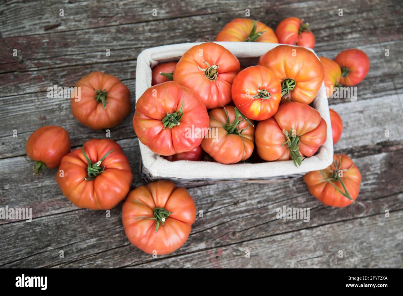 Red Tomatoes in a Greenhouse, organic food Stock Photo - Alamy