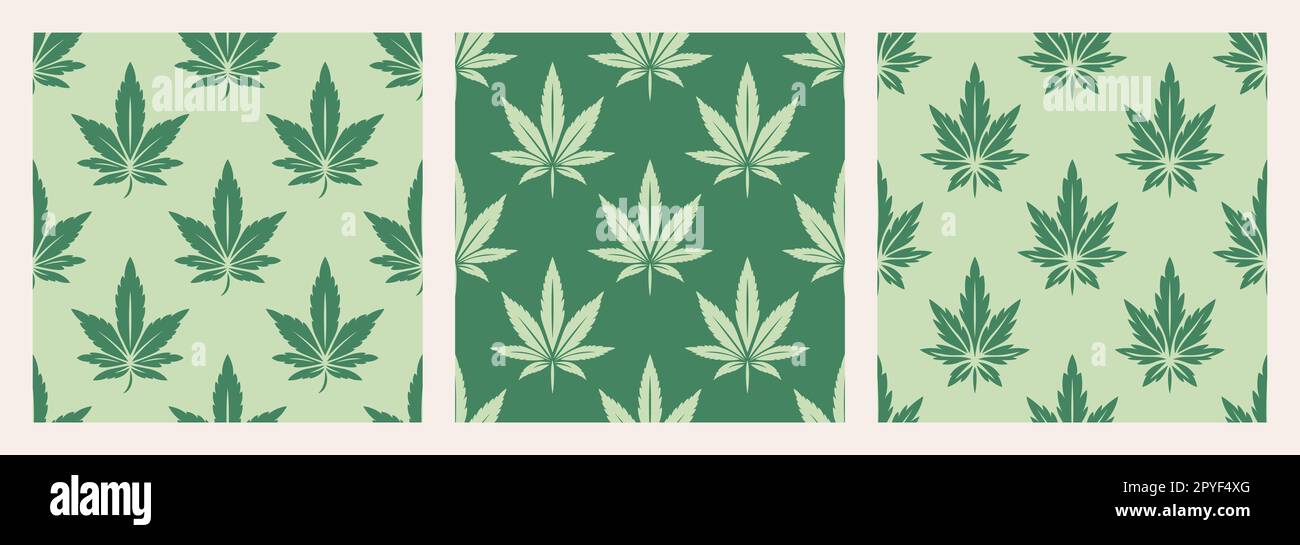 Vector Seamless Pattern with Green Cannabis Leaves. Hemp, Cannabis Leaf ...