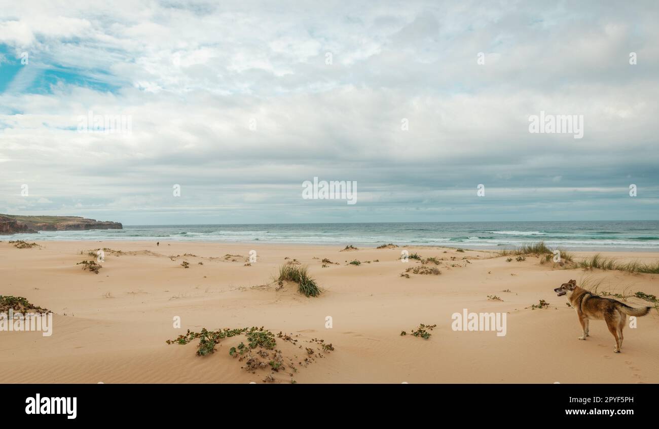 Dune landscape on Bordeira beach in the Natural Park of Southwest Alentejo and Vicentine coast Stock Photo