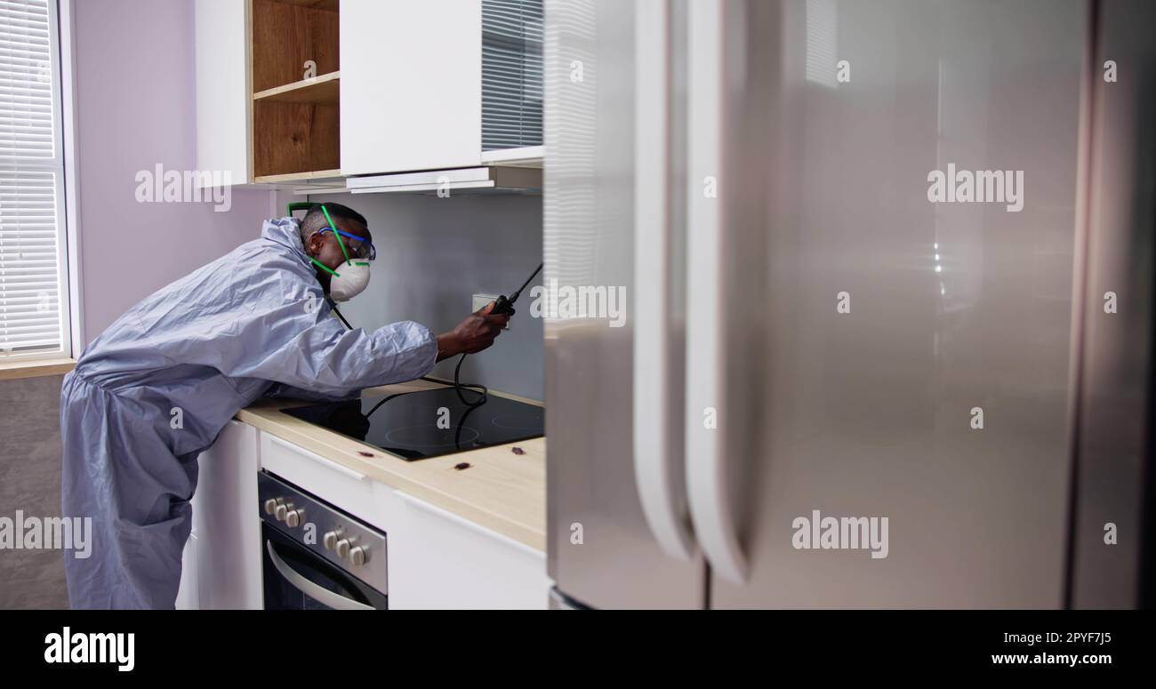 Man Showing At Pest Control Worker Spraying Insecticide On Shelf Of