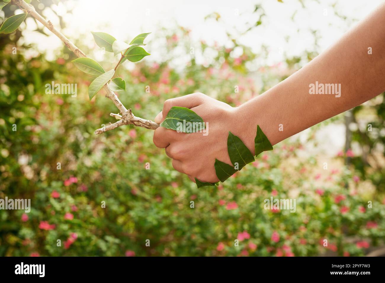 Walk hand in hand with mother nature. an unidentifiable young man shaking hands with a branch in his garden. Stock Photo