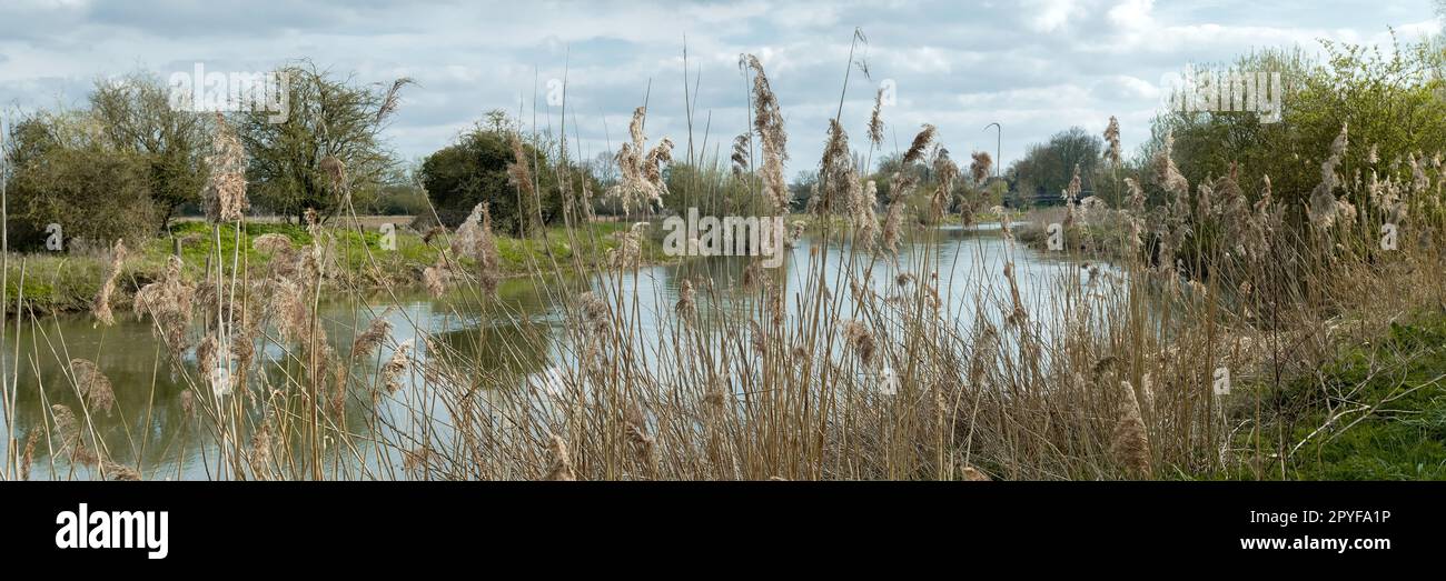 The Nene River is a river in Northampton, UK Stock Photo - Alamy
