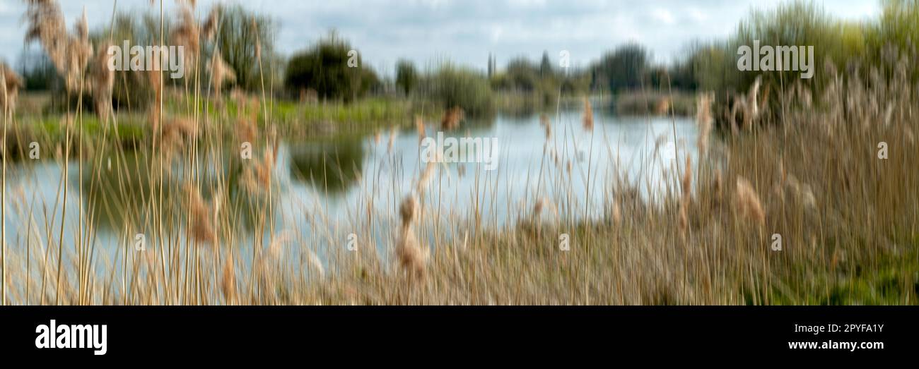 The Nene River is a river in Northampton, UK Stock Photo - Alamy