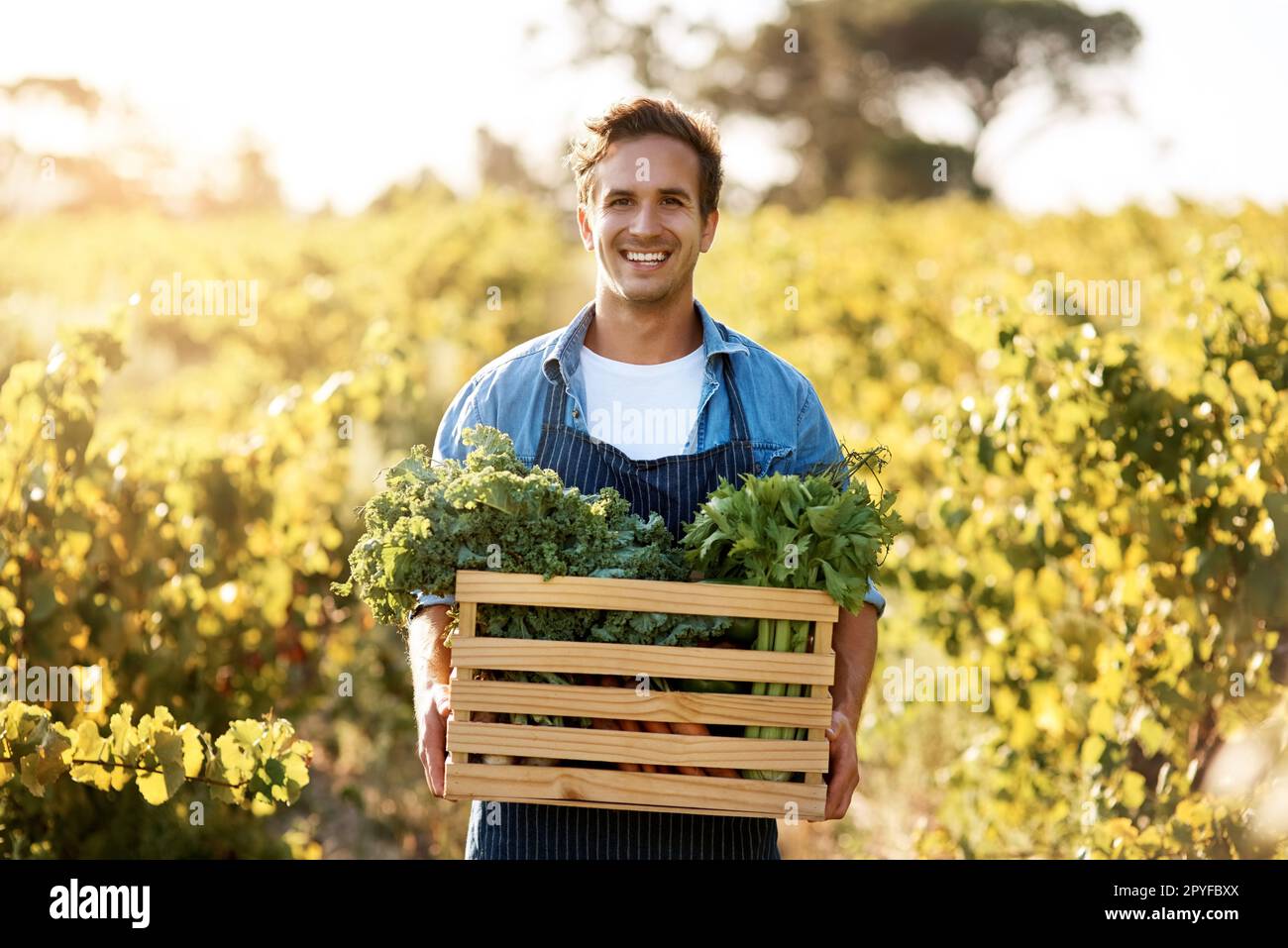 Farming requires time, hard work, dedication, perseverance and commitment. a young man holding a crate full of freshly picked produce on a farm. Stock Photo