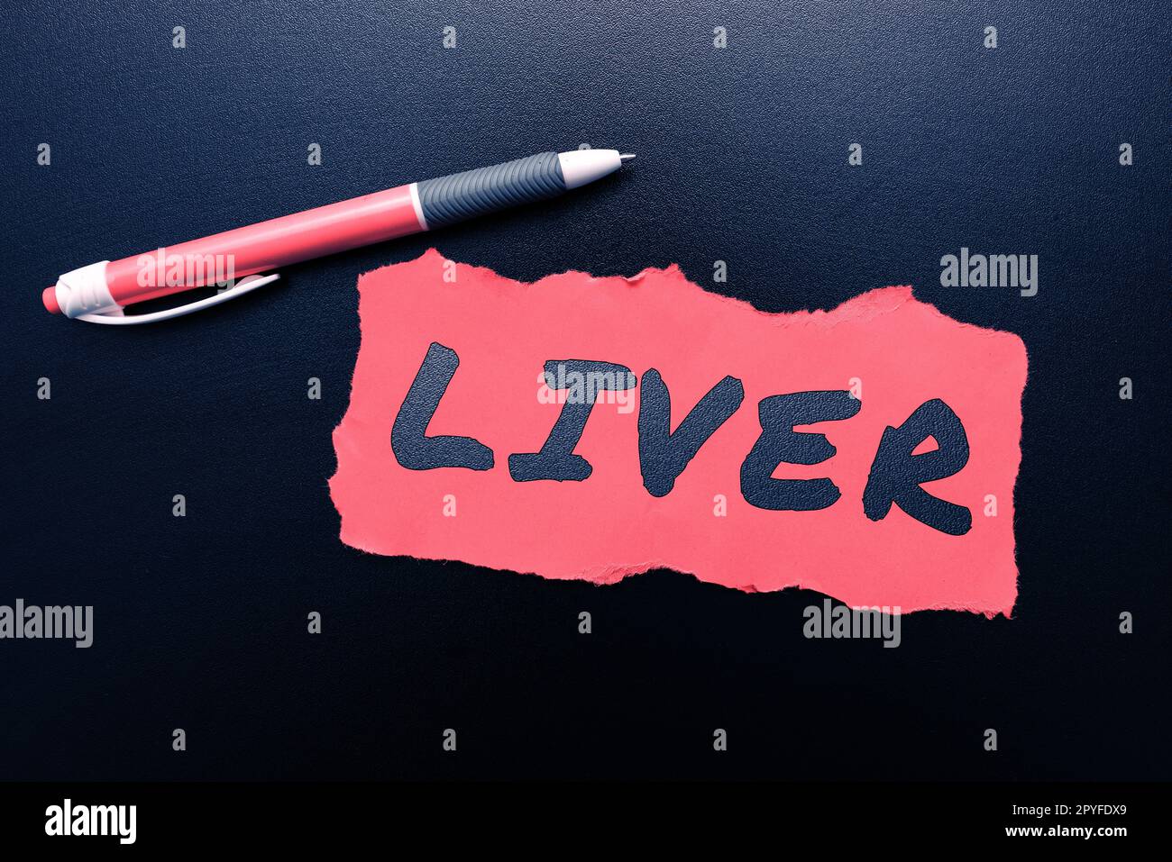 Sign displaying Liver. Business idea Large lobed glandular organ in the abdomen of vertebrates Produce bile Stock Photo