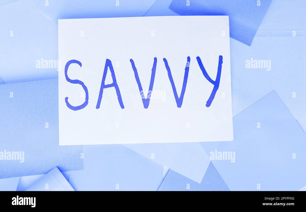 Writing displaying text Savvy. Word Written on having perception, comprehension in practical matters Stock Photo