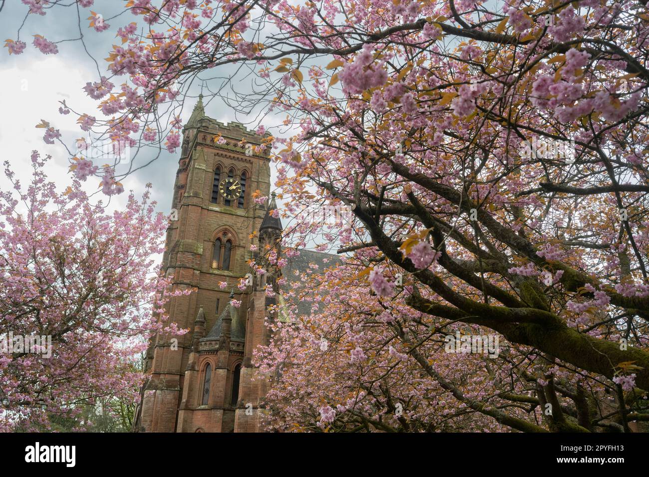 Moffat, Dumfries and Galloway, UK. 3rd May, 2023. Colourful scenes as