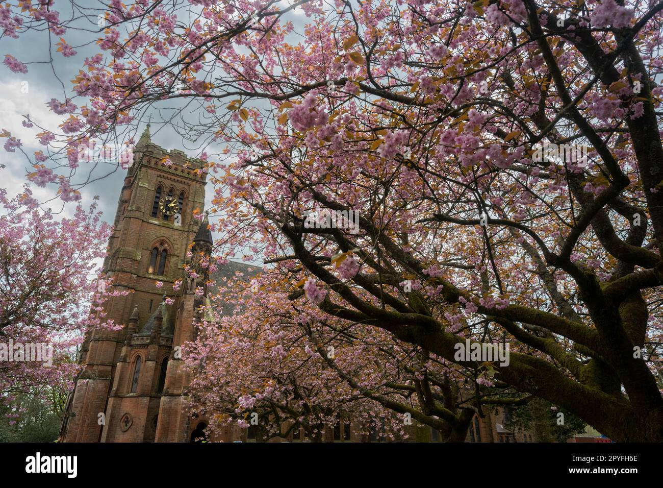 Moffat, Dumfries and Galloway, UK. 3rd May, 2023. Colourful scenes as
