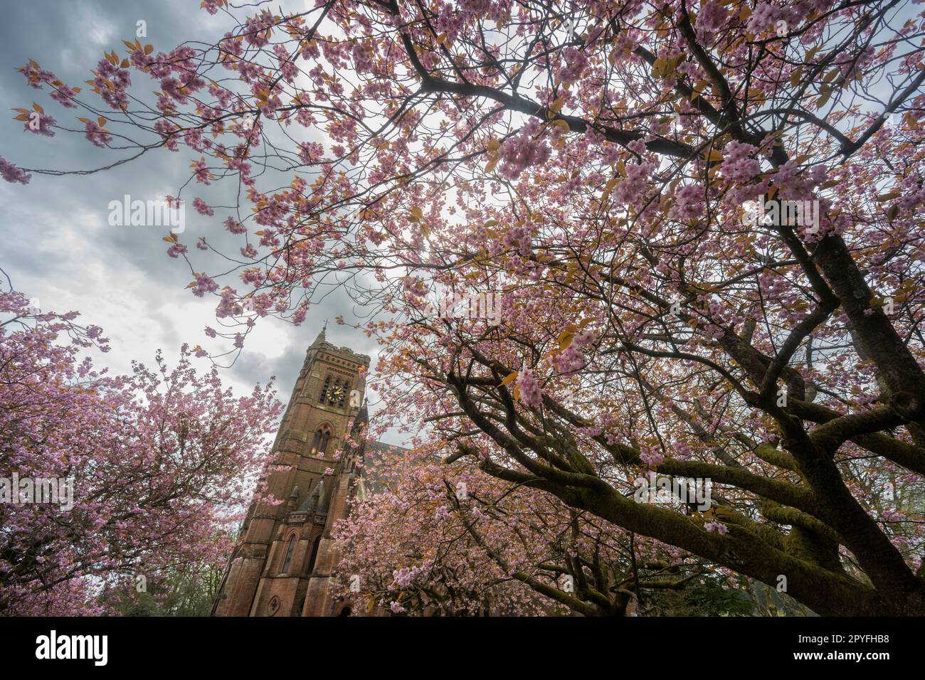 Moffat, Dumfries and Galloway, UK. 3rd May, 2023. Colourful scenes as