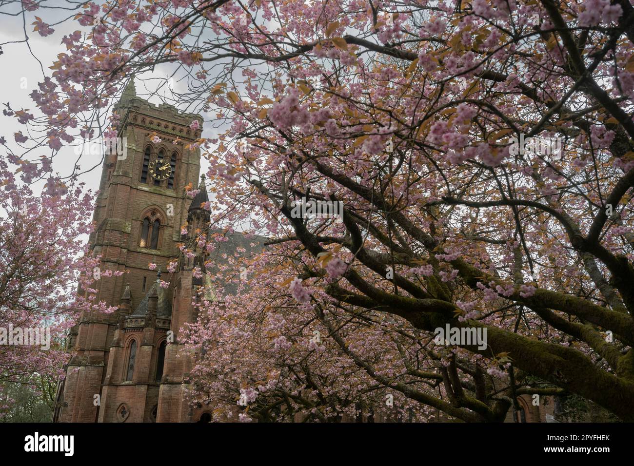 Moffat, Dumfries and Galloway, UK. 3rd May, 2023. Colourful scenes as