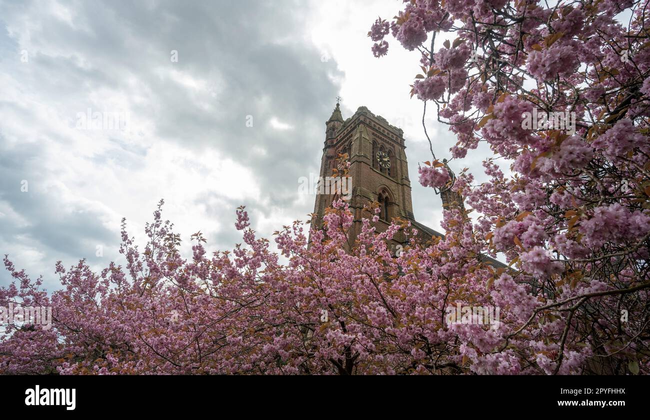 Moffat, Dumfries and Galloway, UK. 3rd May, 2023. Colourful scenes as