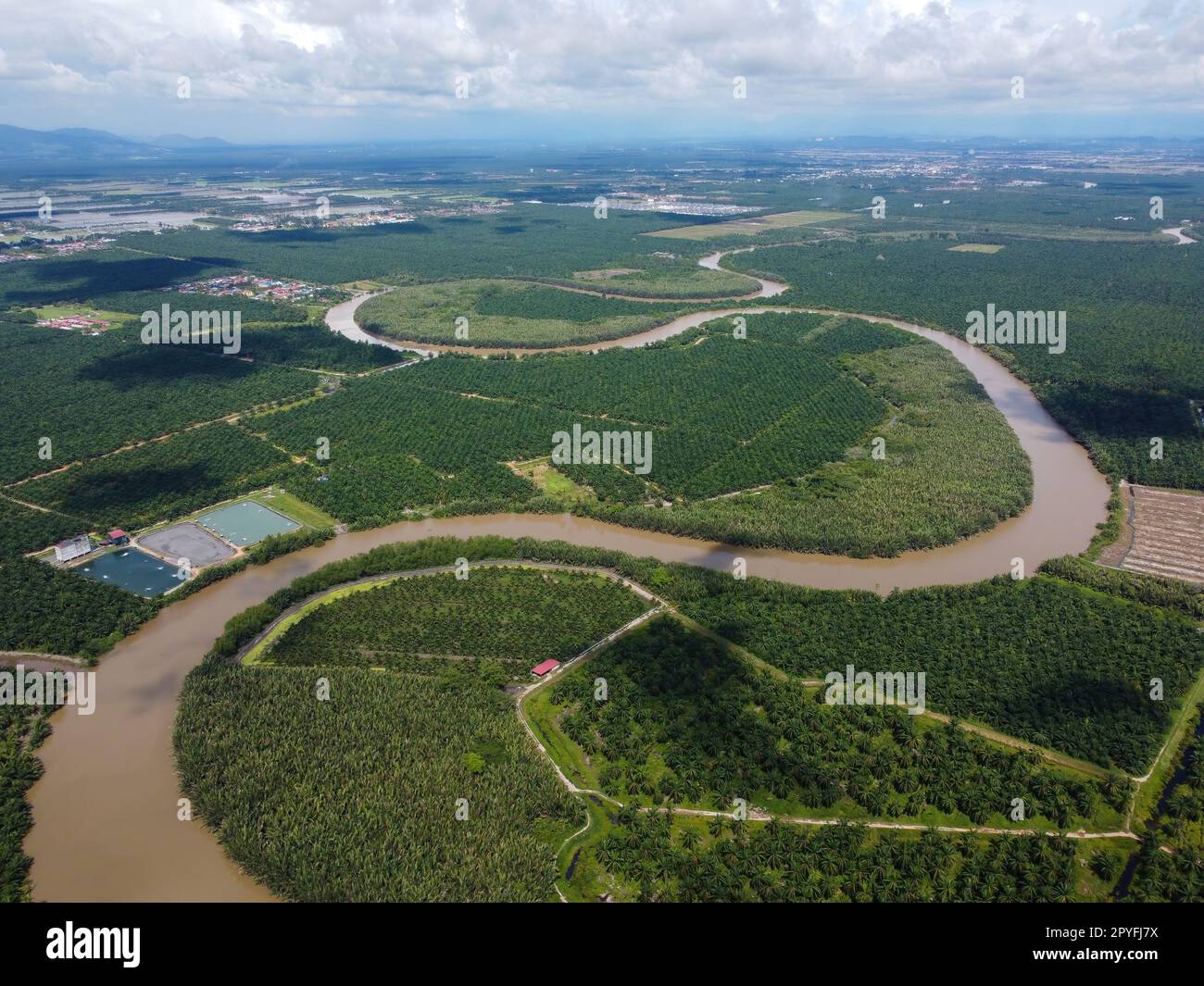 Aerial view curve river over the plantation oil palm Stock Photo