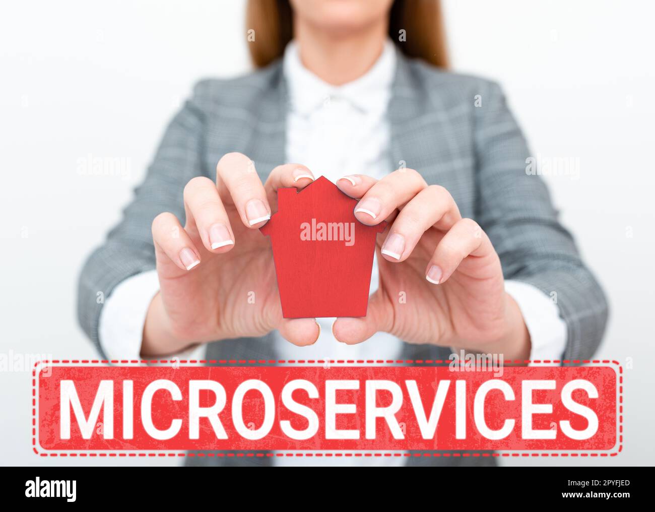 conceptual-caption-microservices-word-for-software-development