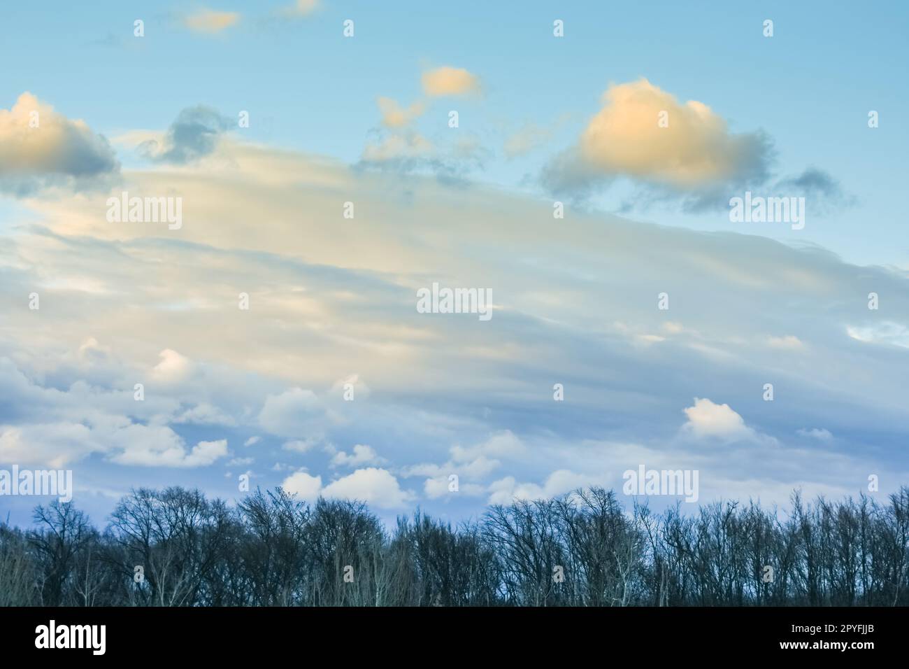 Storm sky landscape trees hi-res stock photography and images - Alamy