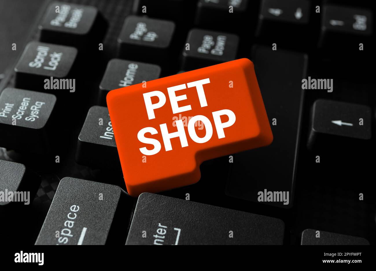 Sign displaying Pet Shop. Business overview Retail business that sells ...