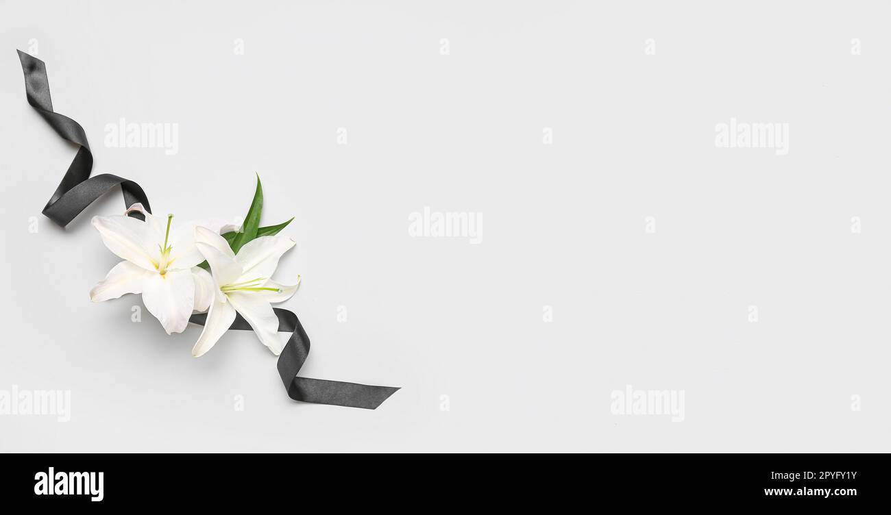 Black funeral ribbon and beautiful lily flowers on white background