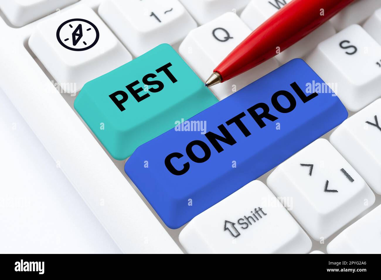Internet Insects Handwriting text Pest Control. Internet Concept Killing destructive ...
