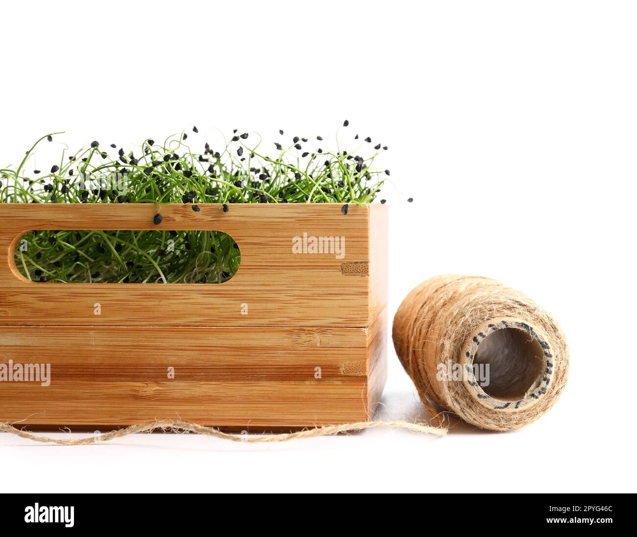 Wooden box with fresh micro green and rope on white background Stock ...