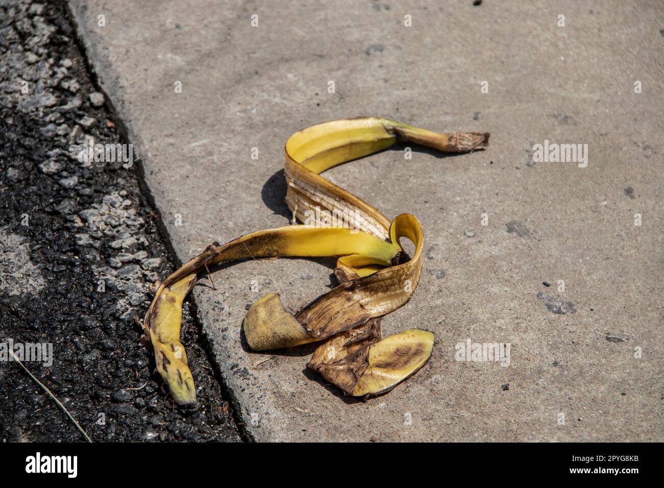 Banana peel laying on the ground - grungy grainy blacktop and sidewalk - slip and fall danger - focus on foreground. Stock Photo