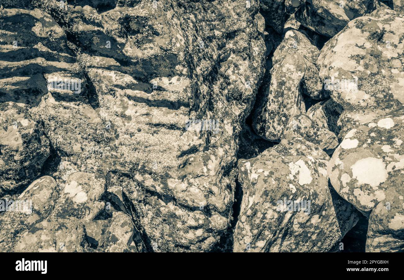 Texture from rock in Table Mountain National Park Cape Town. Stock Photo
