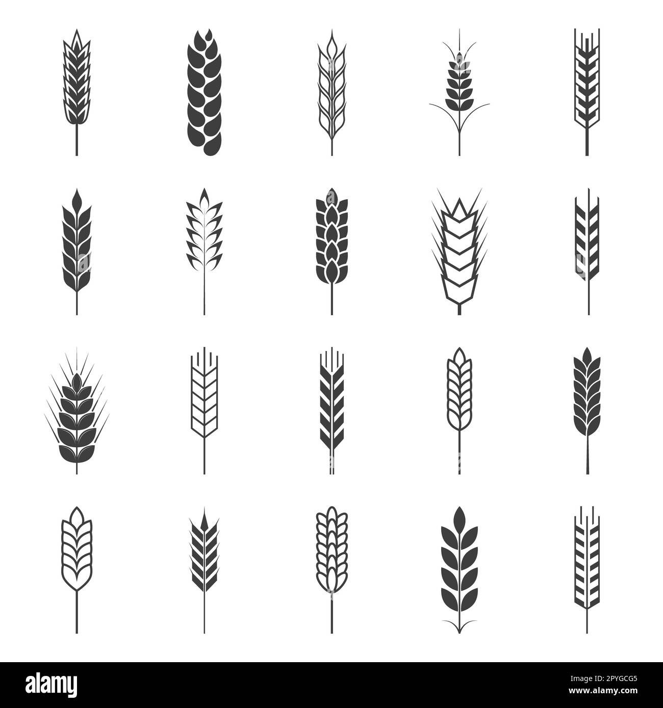 Set of simple wheat ears icons and design elements. Vector EPS8 ...