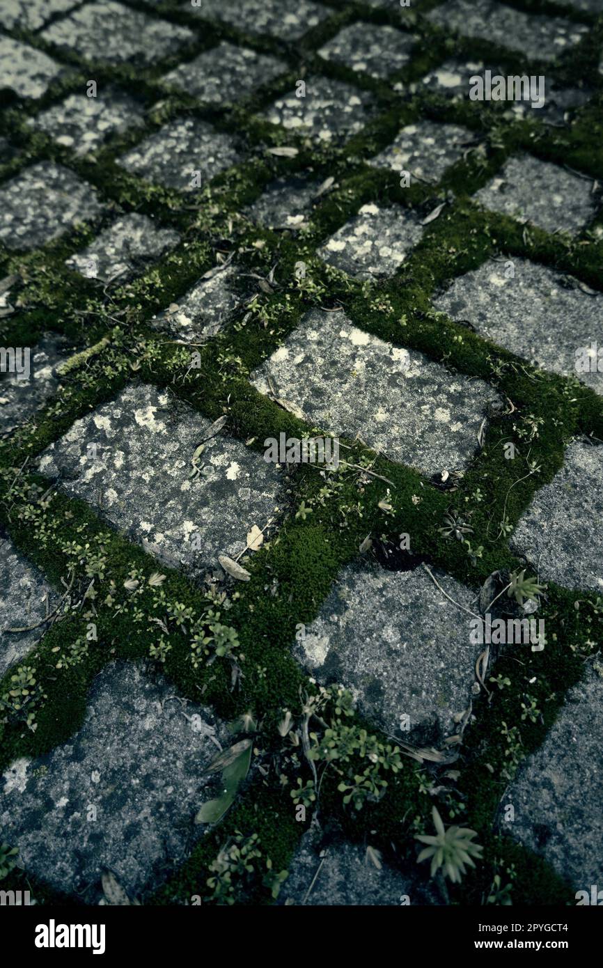 Old street pavers hi-res stock photography and images - Alamy