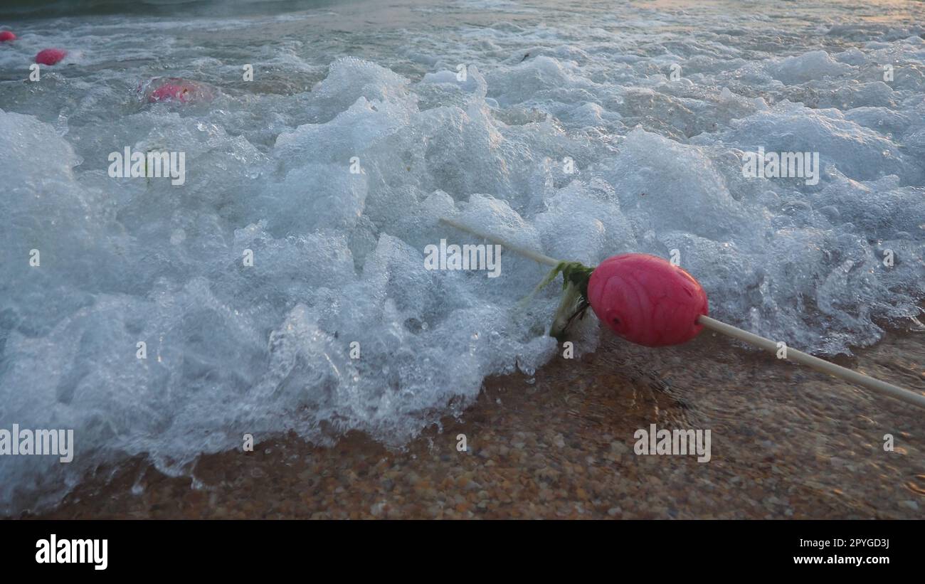 Buoys on a rope near sea water. The buoys are pink restraints to alert people to the depth of the water. Rescue of the drowning. Delimiting a place on a sandy beach between hotels. Wave with bubbles. Stock Photo