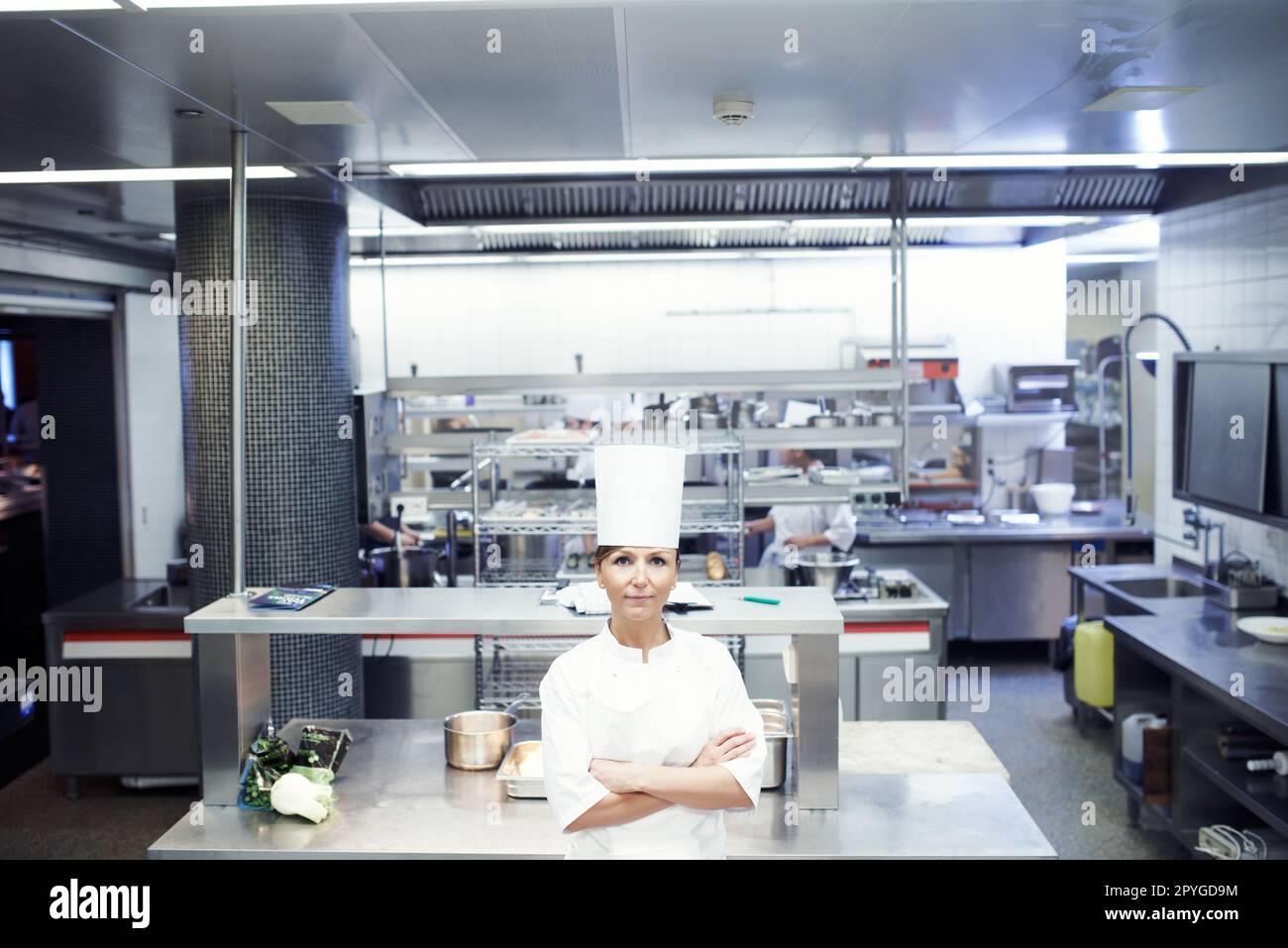 https://c8.alamy.com/comp/2PYGD9M/welcome-to-my-kitchen-portrait-of-a-chef-in-a-professional-kitchen-2PYGD9M.jpg