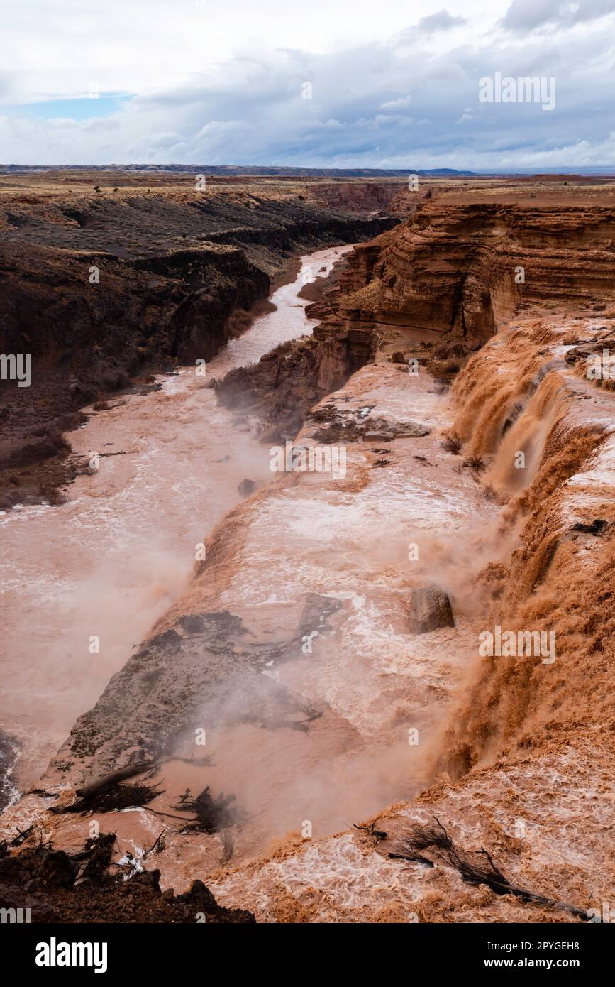 Grand Falls of the Little Colorado River during spring high flow