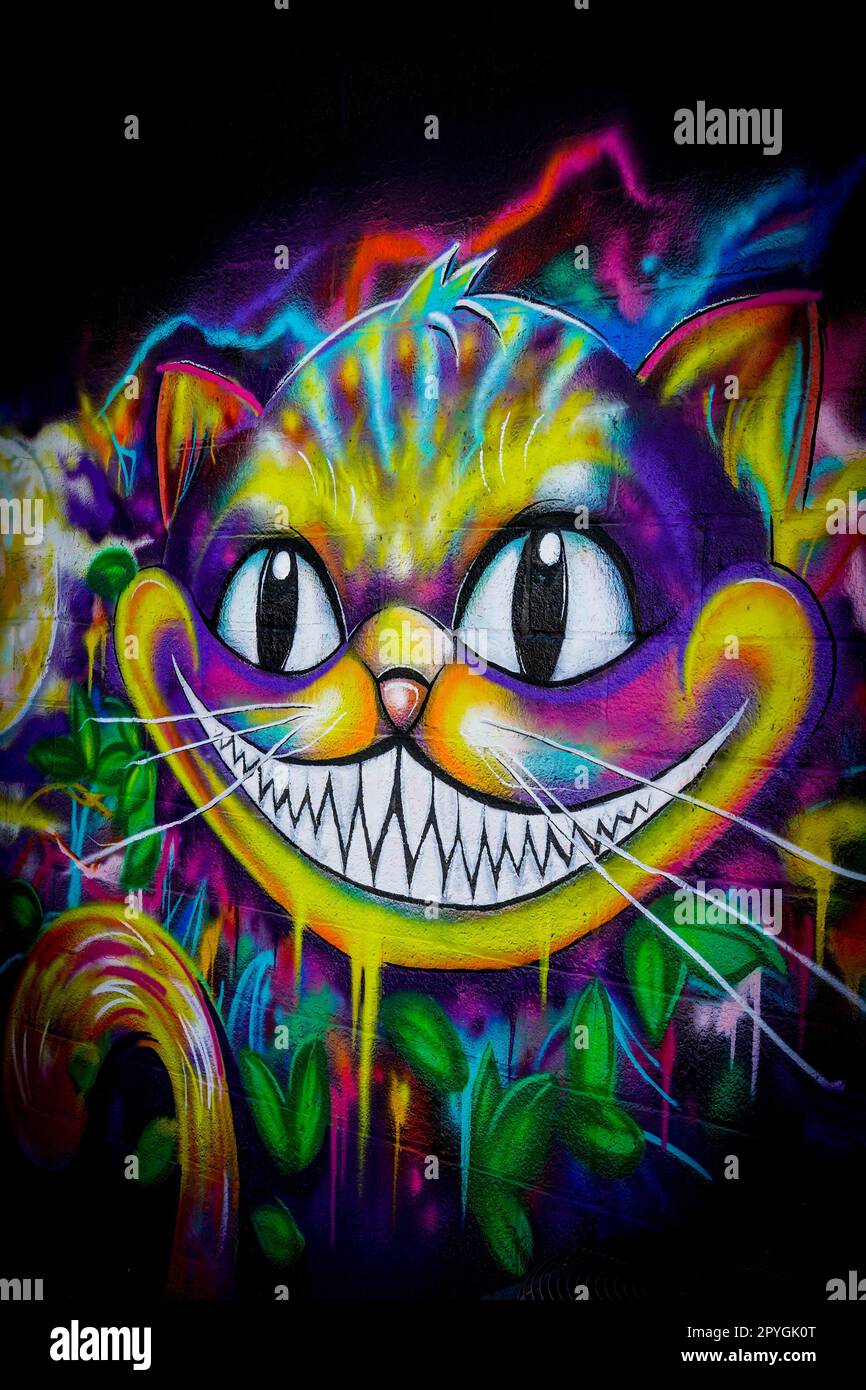 colorful psychedelic Alice In Wonderland themed Cheshire cat grinning wall graffiti with purple green blue and yellow colors Stock Photo
