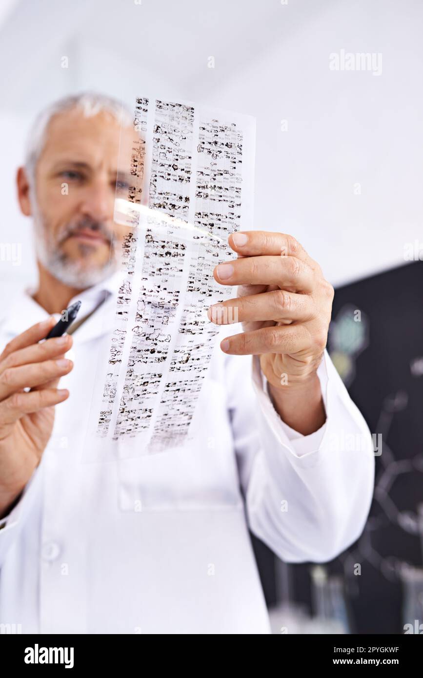Dna profile hires stock photography and images Alamy