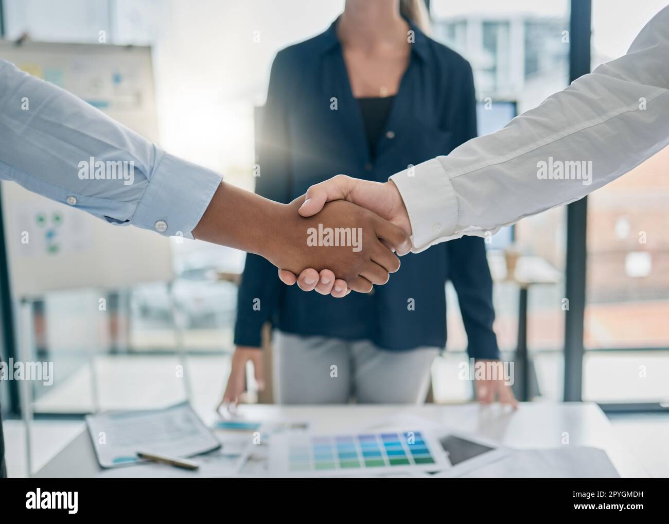 Handshake, office and business people with corporate deal, agreement or partnership with success. Meeting, professional and businessmen shaking hands for welcome, greeting or company onboarding. Stock Photo