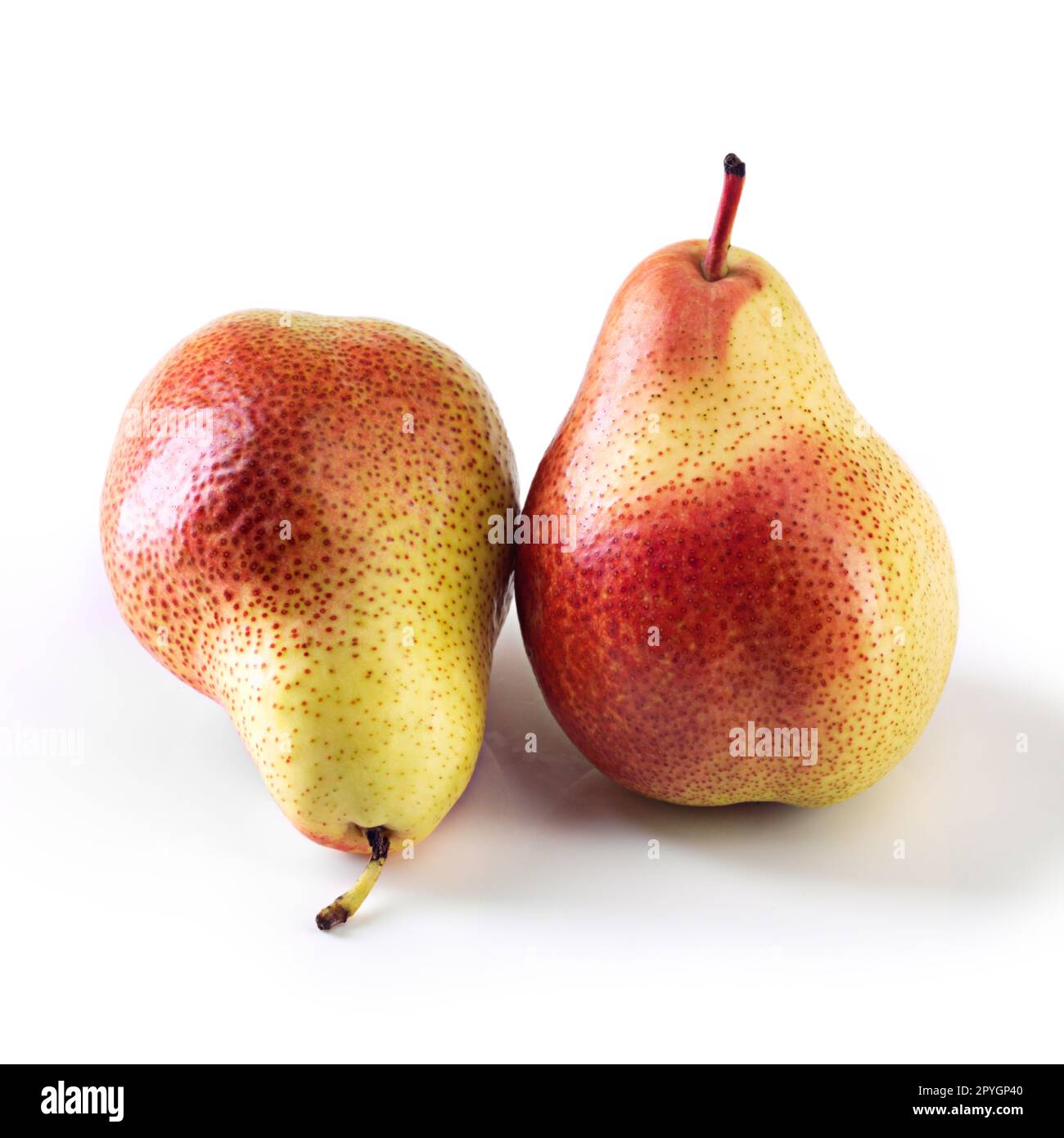 The perfect pear. Studio shot of ripe pears against a white background. Stock Photo