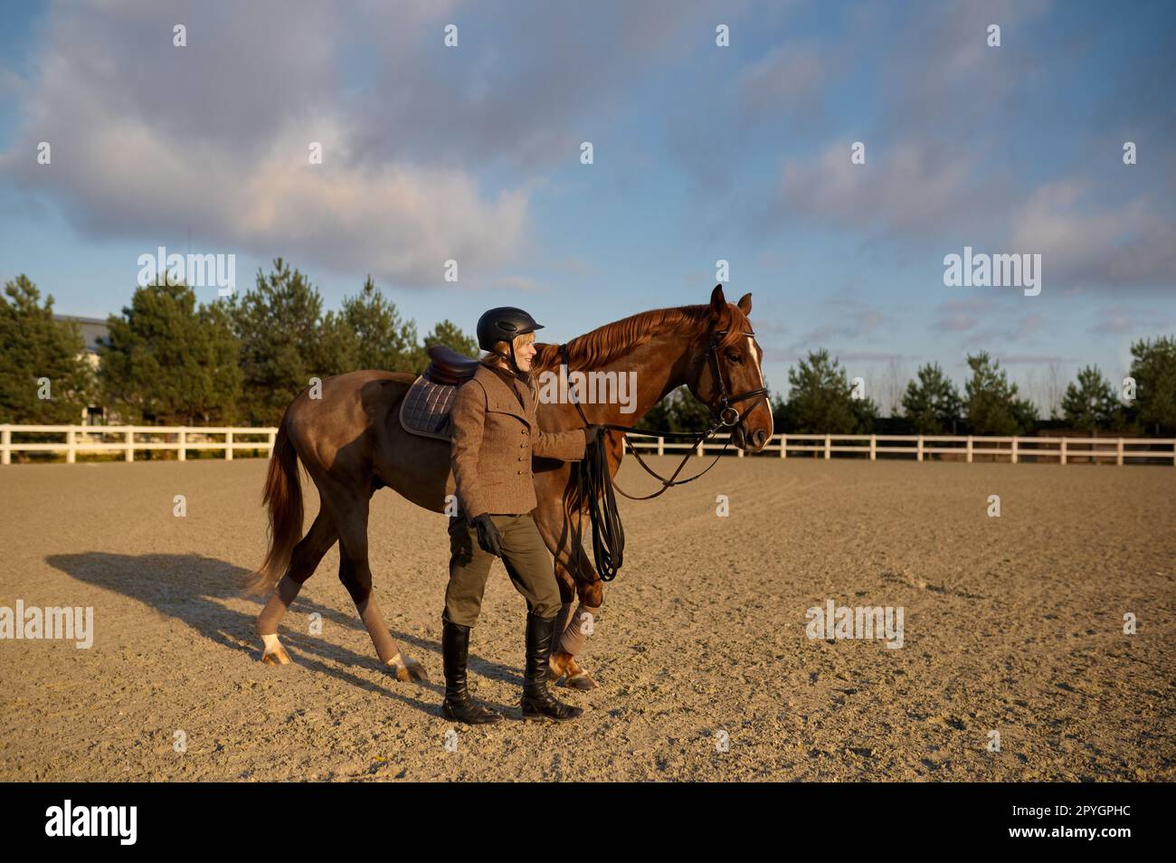 Woman rider walking horse side by side holding harness saddle-girth Stock Photo