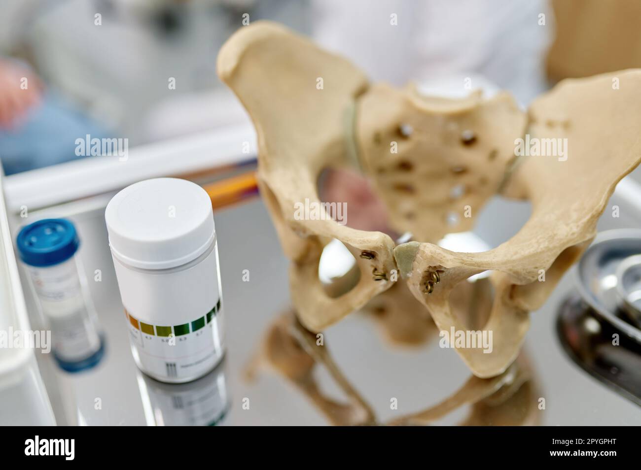 Pelvis anatomical skeleton structure model and pills on table Stock Photo
