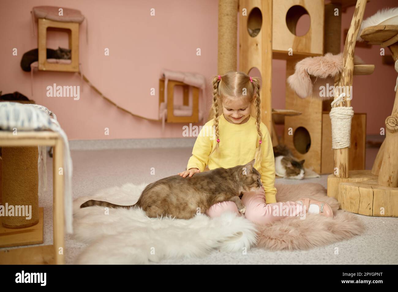 Cute smiling girl playing with cat in shelter for domestic animal Stock
