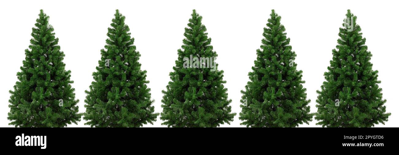 christmas tree isolated on white background Stock Photo - Alamy