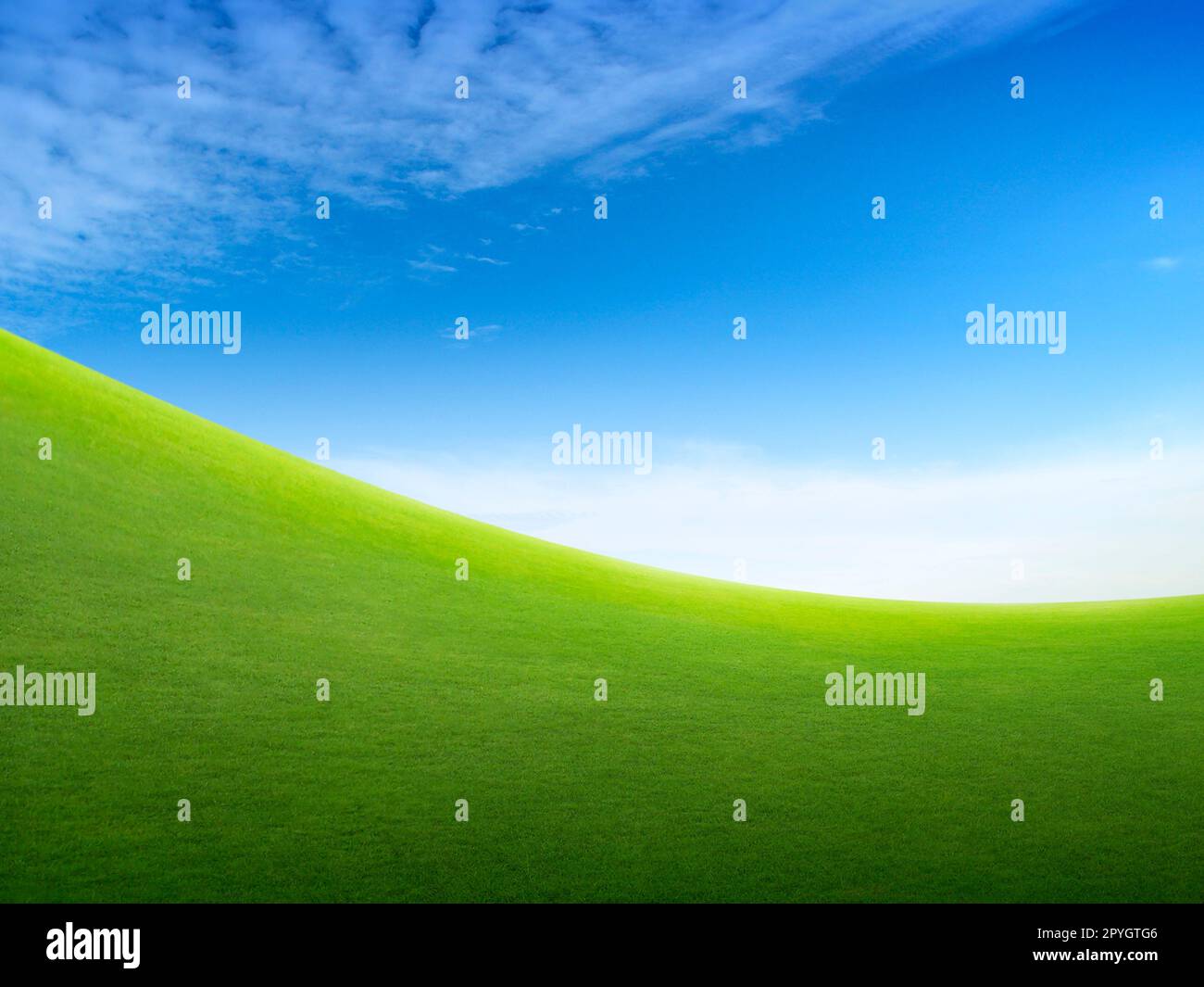 green green grass field and bright blue sky Stock Photo