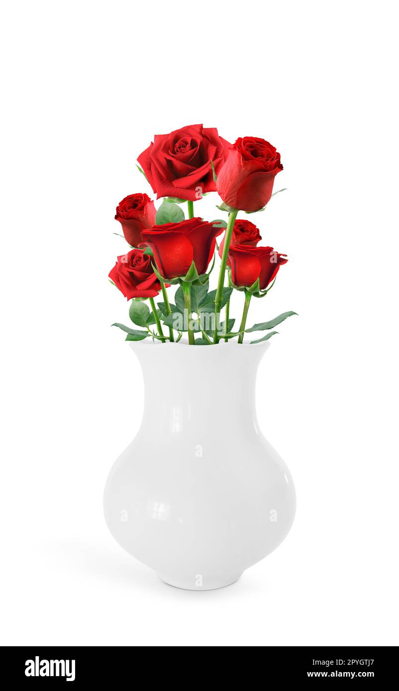 Red roses into vase on white background Stock Photo