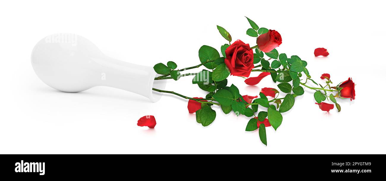 Red roses into vase on white background Stock Photo