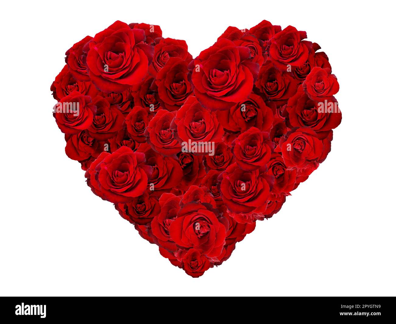Valentines Day Heart Made of Red Roses Isolated on White Background Stock Photo