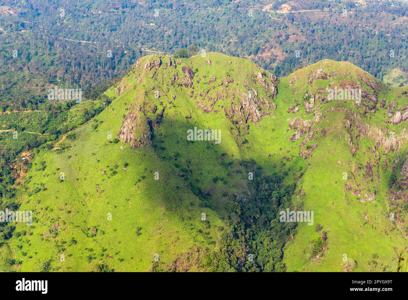 Landscape with little Adams Peak in the hill country of Sri Lanka Stock Photo