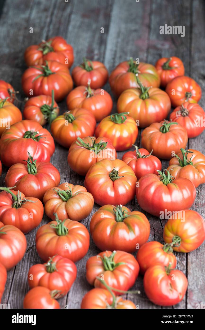 Red Tomatoes in a Greenhouse, organic food Stock Photo - Alamy