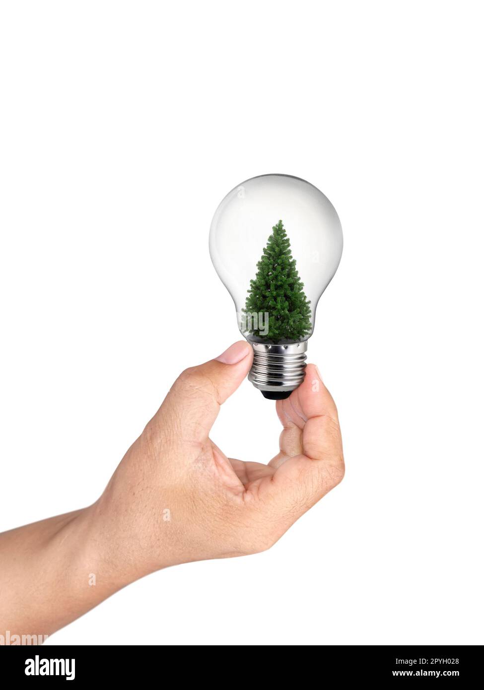 hand holding light bulb with christmas tree inside of on White