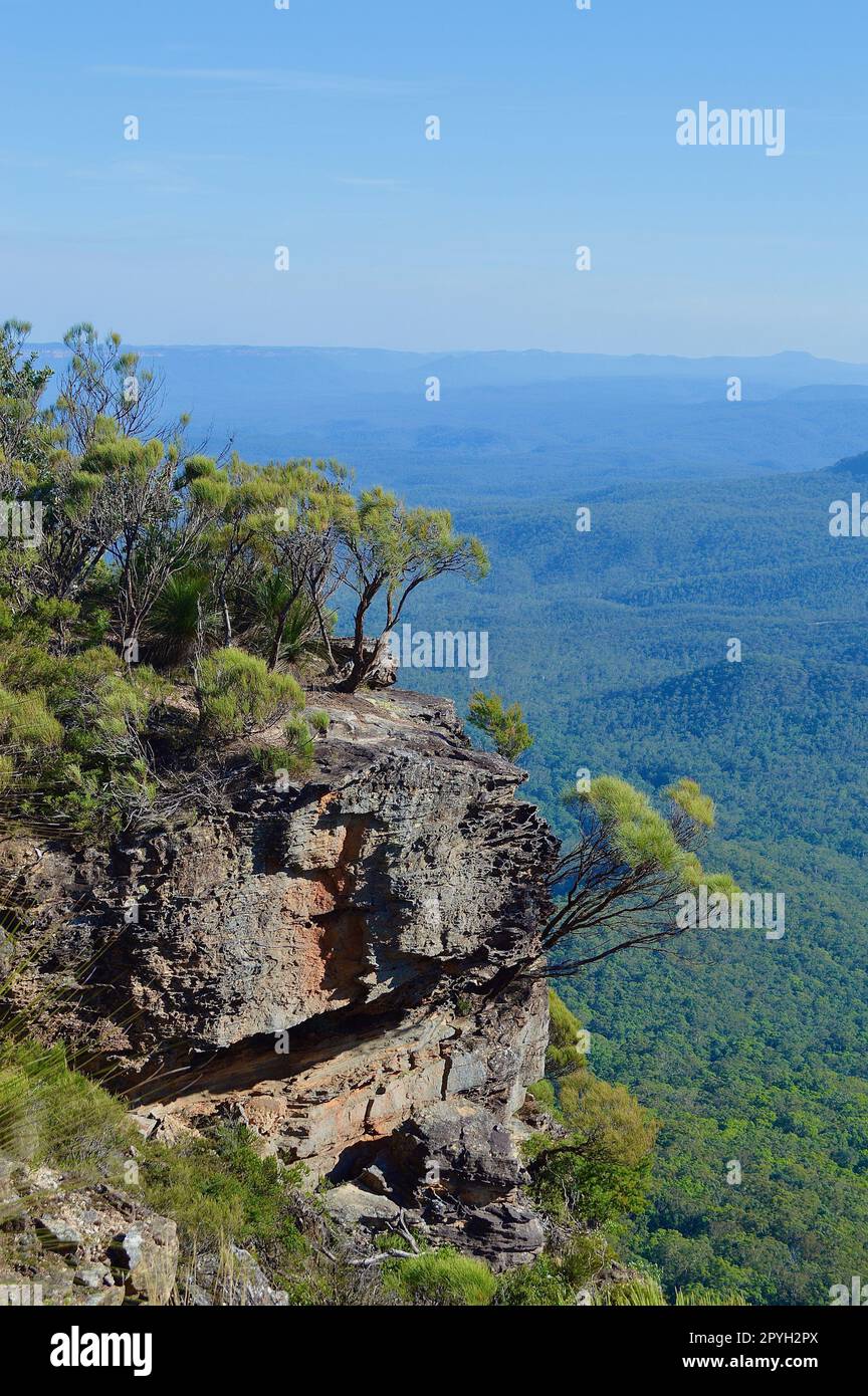 A view into the valley at Wentworth Falls in the Blue Mountains of Australia Stock Photo