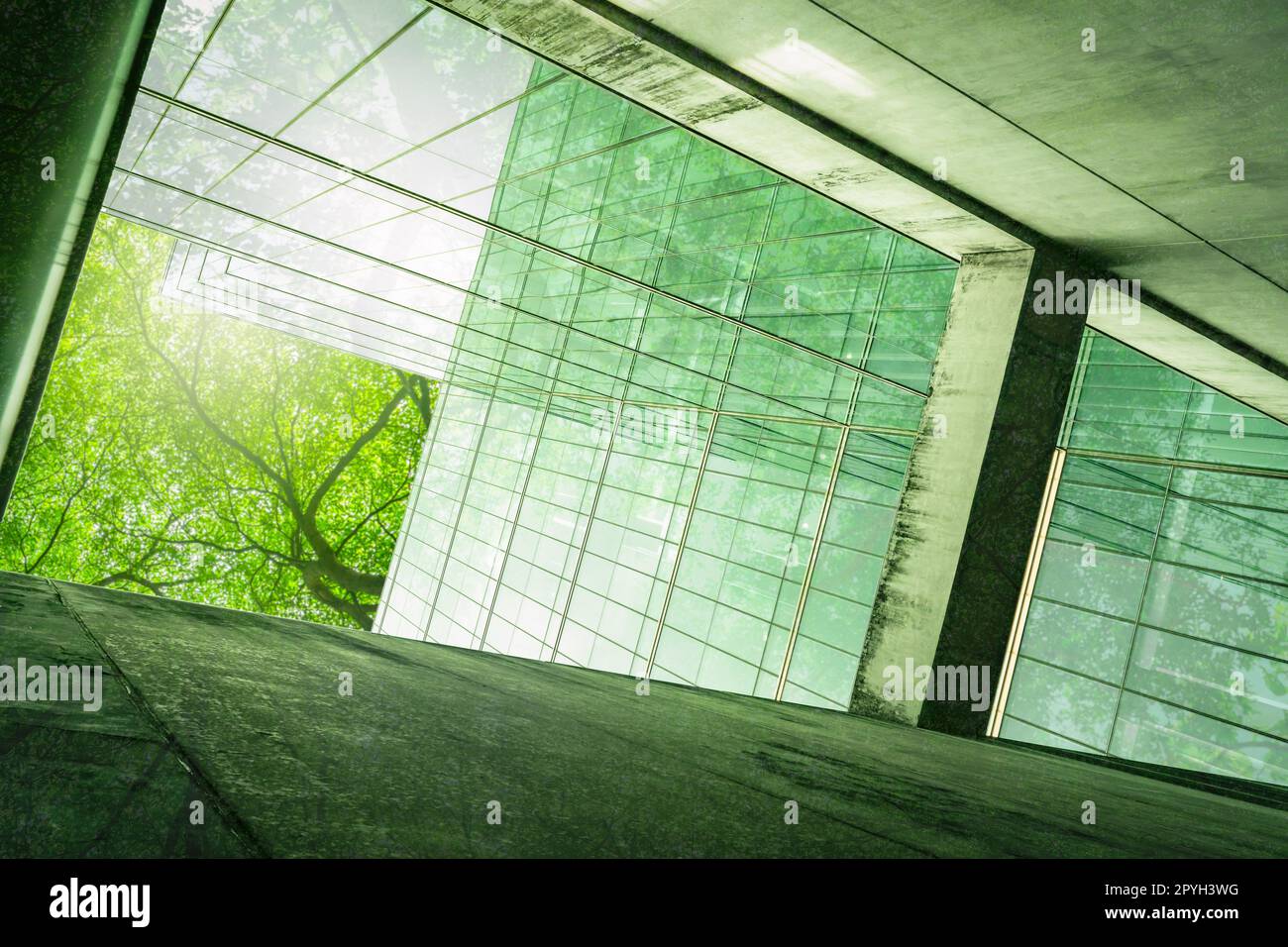 Sustainble green building. Eco-friendly building. Sustainable glass office building with tree for reducing carbon dioxide. Office with green environment. Corporate building reduce CO2. Safety glass. Stock Photo