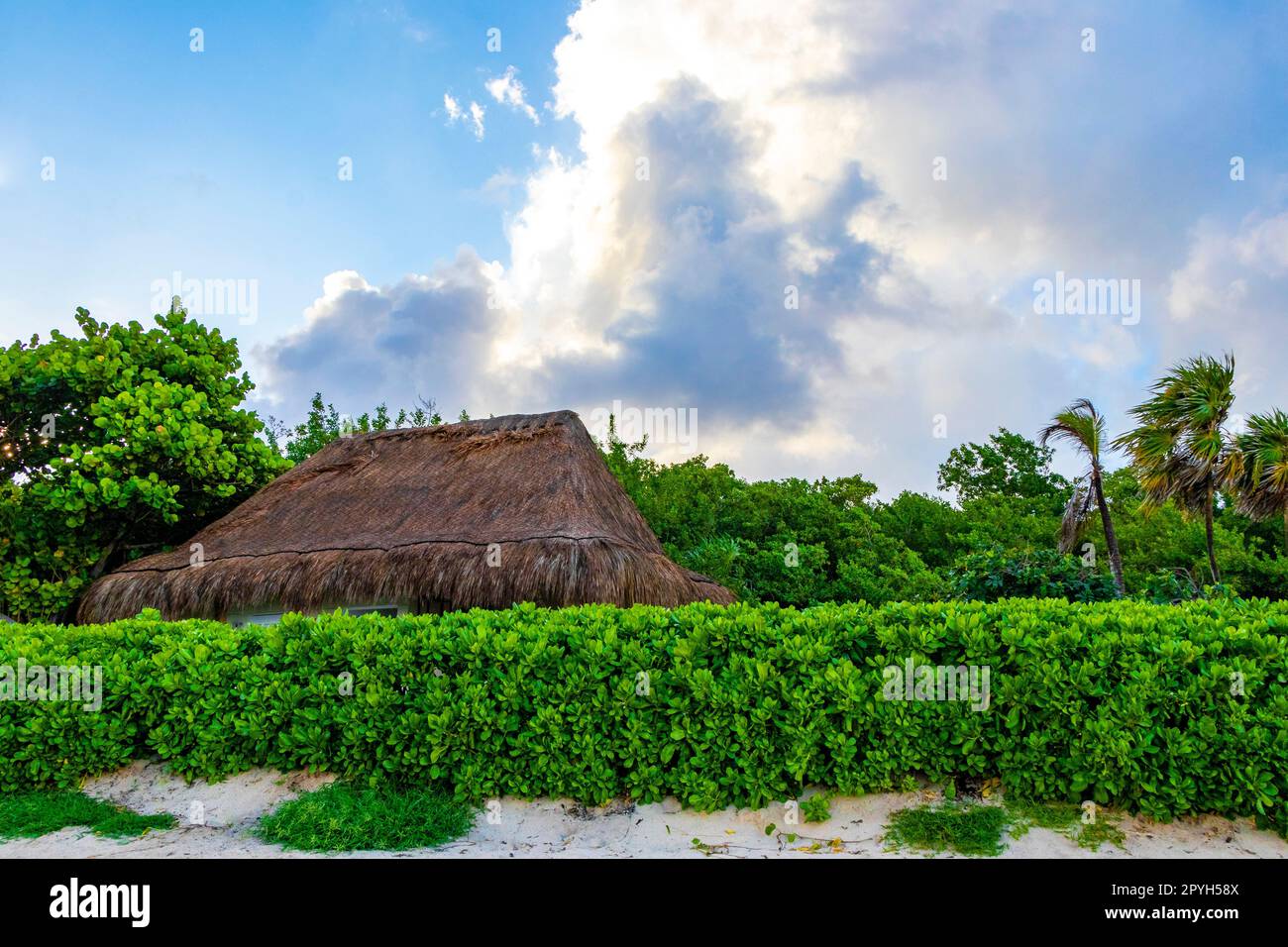 Palapa roof resort in tropical beach Playa del Carmen Mexico. Stock Photo