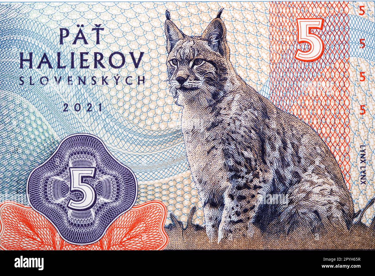 Lynx, a portrait from Slovak money Stock Photo